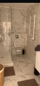 Un baño con inodoro y ducha de cristal. en A louer T2, en Palasca