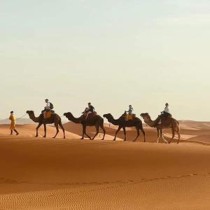 Hosté ubytování Trekking Desert