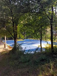 a pond in a park with trees around it at Vacanza apartment in Mostar +24 photos