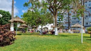 a park with straw umbrellas in the grass at Diana Playa in Benalmádena