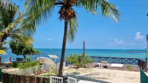 a beach with a palm tree and chairs and the ocean at On The Beach Seaside Sunrise Haven 4 Sea View in Cancún