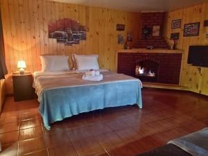 a bedroom with a large bed with a fireplace at Pousada Caminho dos Ventos in Passa Quatro +47 photos