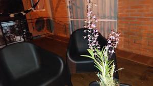 Foto de Harapy y Naipi