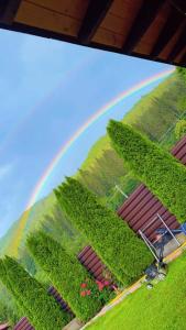 Gallery image of La Grasu' Sauna&ciubar in Dodeni