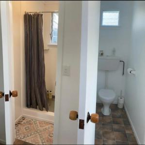 une salle de bain avec toilettes et douche dans l'établissement Cottage at Te Kaone, à Broadwood