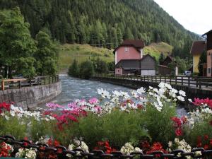 Gallery image of Hotel Mallnitz in Mallnitz