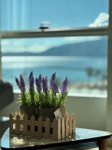 Kép BEACHFRONT VLORA APARTMENT szállásáról Vlorában a galériában