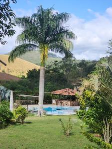 a palm tree next to a swimming pool at Cabana do lago no Sitio Paraiso Joao de Barro in Paraíba do Sul