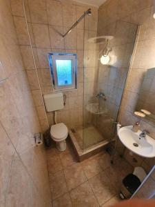 a bathroom with a shower and a toilet and a sink at Apartment für 6 Personen in Dubrava