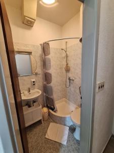 Koupelna v ubytování Apartmani Lisičina