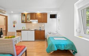 Dapur atau dapur kecil di Amazing Apartment In Lozovac With Wifi
