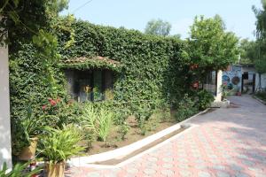 Κήπος έξω από το Lakeview Rooms & apartments