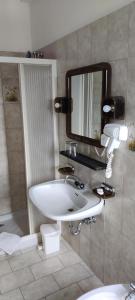 a bathroom with a sink and a mirror on the wall at Albergo Drena in Drena