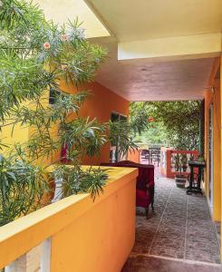 Zahrada ubytování Casa Daniels Guesthouse