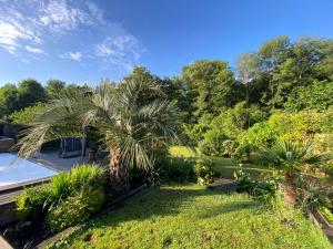 a garden with palm trees and a yard at Villa piscine chauffée,5ch ,climatisation, bar extérieur in Lacanau