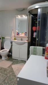 a bathroom with a toilet and a sink and a mirror at Pensiune Colina Farm in Găgeni