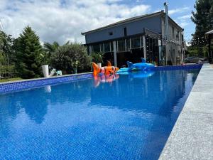 una piscina con alcuni giocattoli in acqua di Pirosmani a Kobuleti