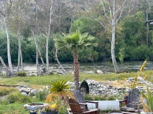 三河城Sequoia River Front Cabins的河边一棵棕榈树旁边有两把椅子