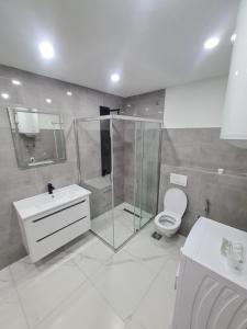 Ένα μπάνιο στο Apartman Dani