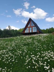Zahrada ubytování Seva Villa in Racha
