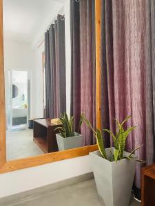 Fotografie z fotogalerie ubytování Cozy Homestay v destinaci Ella