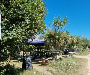Zahrada ubytování Camping le Kergorz
