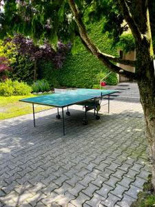 Stolní tenis v ubytování Dom v Záhrade nebo okolí