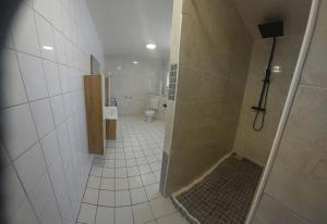 a bathroom with a walk in shower and a toilet at Lüttje Warfthuus in Krummhörn +5 photos