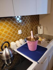 a kitchen counter with a sink with a pot on it at Apartament Diuna in Krynica Morska