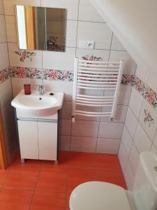 a bathroom with a sink and a toilet at Pokój 4osobowy in Swornegacie