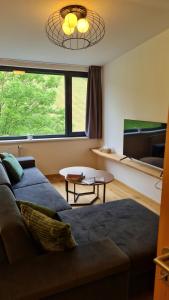 特鲁特诺夫Krásný apartmán u sjezdovky v Janských Lázních的带沙发和大窗户的客厅