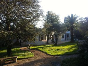 una casa con un patio con árboles delante de ella en Du Coté de Chez Soi, en La Ciotat