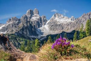 Paesaggio naturale nelle vicinanze dell'hotel