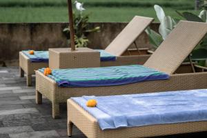 Fotografie z fotogalerie ubytování Padi Bali Retreat v destinaci Payangan