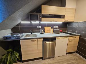 Il comprend une petite cuisine équipée d'un évier et d'un lave-vaisselle. dans l'établissement Romantic Apartment Deluxe in Karlovy Vary City Centre, à Karlovy Vary