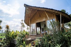 Zahrada ubytování Padi Bali Retreat