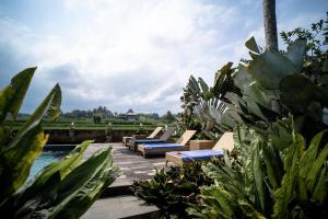 Zahrada ubytování Padi Bali Retreat