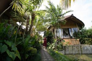 Zahrada ubytování Padi Bali Retreat