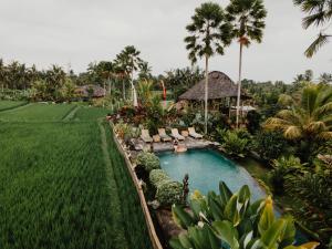Zahrada ubytování Padi Bali Retreat