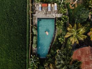 Bazén v ubytování Padi Bali Retreat nebo v jeho okolí