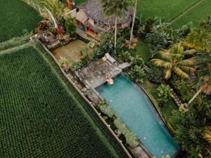 Bazén v ubytování Padi Bali Retreat nebo v jeho okolí