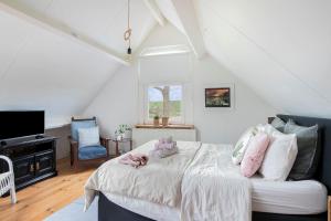 Televizorius ir (arba) pramogų centras apgyvendinimo įstaigoje B&B Het Blije Schaap