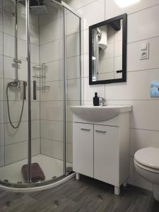 ein Badezimmer mit Dusche, Waschbecken und Toilette in der Unterkunft Słoneczny Raj Apartamenty Domki apartamentowe in Sarbinowo