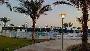 Bazén v ubytování Mousa coast Resort شالية كامل للايجار موسي كوست nebo v jeho okolí + 24 fotografií