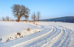 Gorgeous Home In Waldthurn With Wifi v zimě