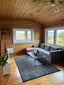 Posezení v ubytování Luxury cottage located in the Golden Circle, mountain view!