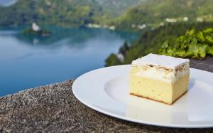 un morceau de gâteau posé sur une assiette blanche sur une table dans l'établissement Apartments Zalar Bled, à Bled