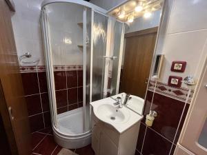 Koupelna v ubytování Apartman Adrijan