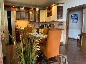 Kuchyň nebo kuchyňský kout v ubytování Apartman Adrijan