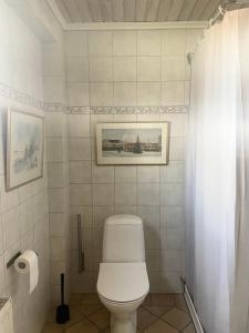 a bathroom with a toilet and a shower curtain at Farm Stay B & B in Annerstad +19 photos